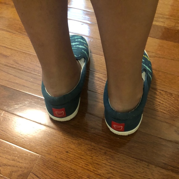 Blue shark slip on sneakers - Picture 5 of 8